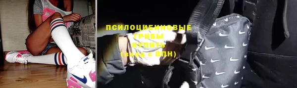 стафф Надым