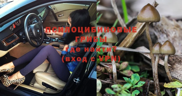 стафф Надым